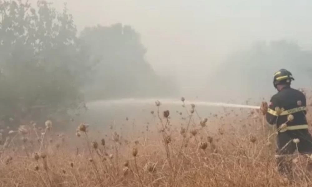 Ιταλία: Τραγικός απολογισμός-Μέσα σε 8 μήνες 472 πυρκαγιές και 1.200.000 καμμένα στρέμματα